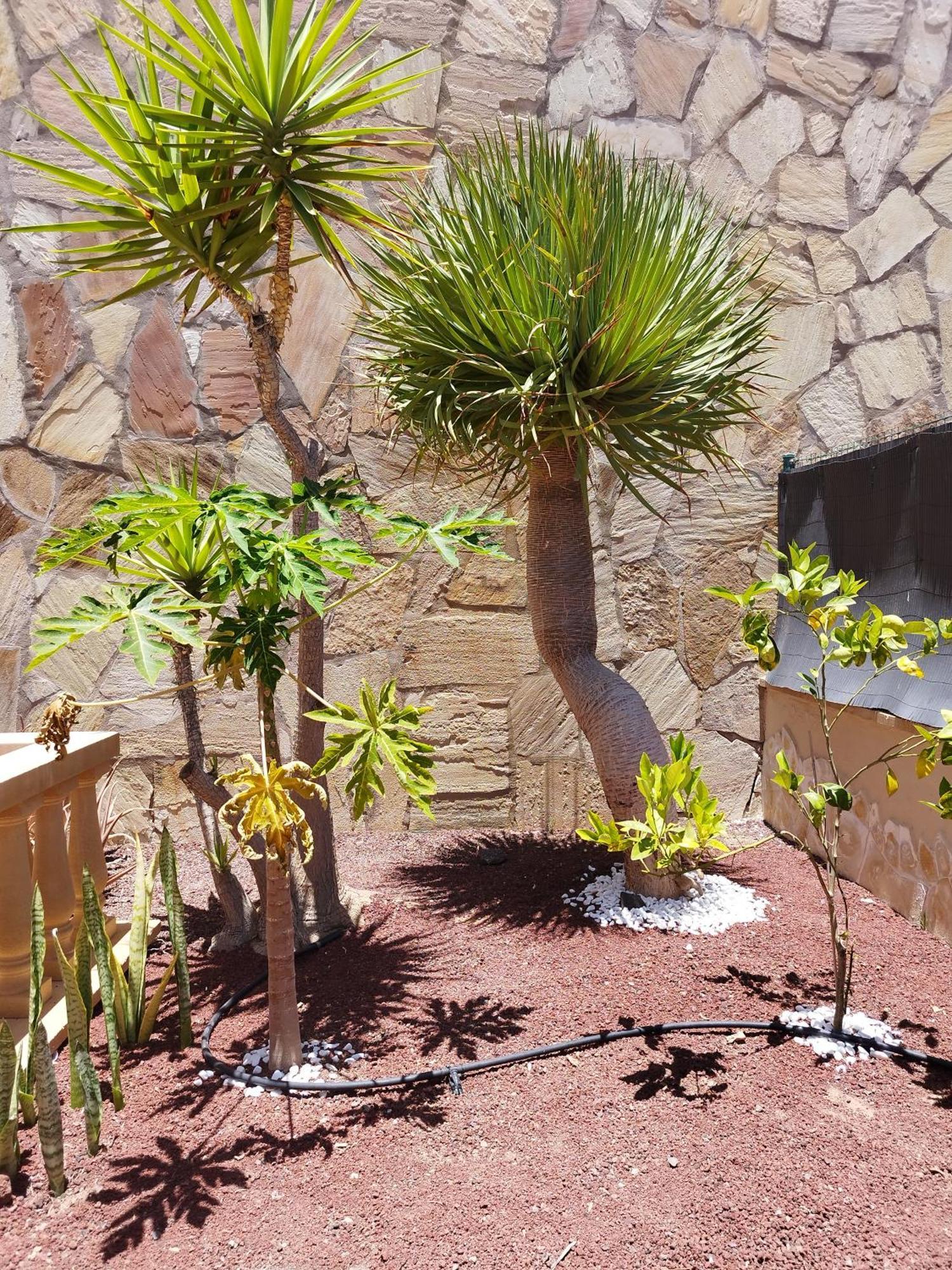 Casa Lily Caleta De Fuste Exterior foto